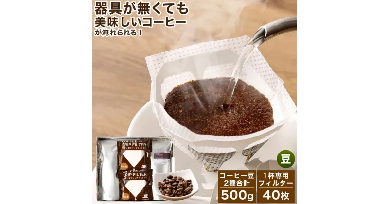 【ふるさと納税】コーヒー豆＆フィルター付きスターターセット 豆 250g×2袋 合計500g 1杯専用 コーヒーフィルター 20枚×2パック 計40枚入り コーヒー 珈琲 スペシャルティコーヒー 2種 セット 送料無料