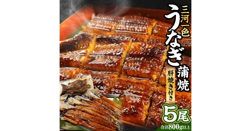 【ふるさと納税】三河一色 うなぎ蒲焼 5尾 合計800g以上 (肝焼き付き) 三河一色産 うなぎ 鰻 ウナギ 蒲焼 蒲焼き 肝焼き 肝焼 冷凍 国産 愛知県産 送料無料