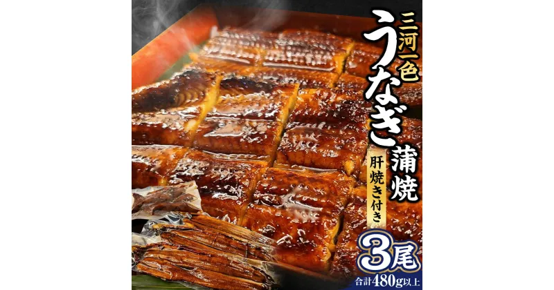 【ふるさと納税】三河一色うなぎ蒲焼 3尾 合計480g以上 (肝焼き付き) うなぎ 鰻 ウナギ 蒲焼 蒲焼き 肝焼き 国産 愛知県産 冷凍 送料無料