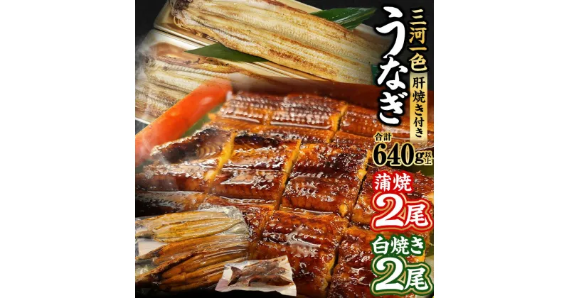 【ふるさと納税】三河一色 うなぎ蒲焼 2尾 白焼 2尾 合計640g以上 (肝焼き付き) うなぎ 鰻 ウナギ 蒲焼 蒲焼き 肝焼き 白焼き 国産 愛知県産 冷凍 送料無料