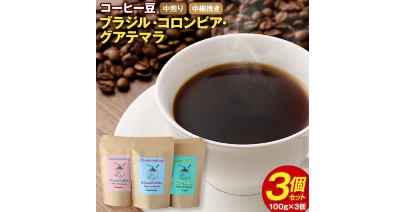 【ふるさと納税】コーヒー豆 3個セット (100g×3個) 合計300g ブラジル コロンビア グアテマラ 中煎り 中細挽き 3種 ギフトBOX付き コーヒー 珈琲 自家焙煎 ひなた珈琲 幸田町 送料無料