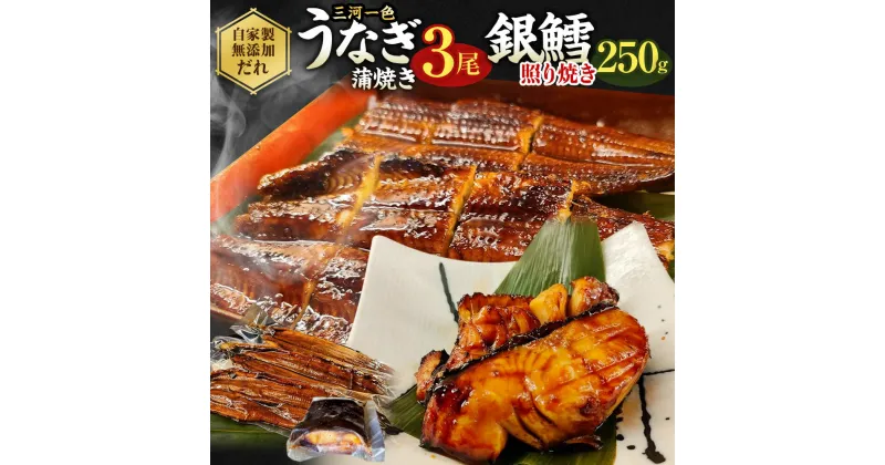 【ふるさと納税】【中サイズ】 蒲焼き 3尾 銀鱈 切身 250g 肝串焼き付き セット 鰻 かば焼き 銀だら タラ 肝焼き タレ付き お魚 湯煎 惣菜 セット 簡単調理 冷凍 幸田町 送料無料