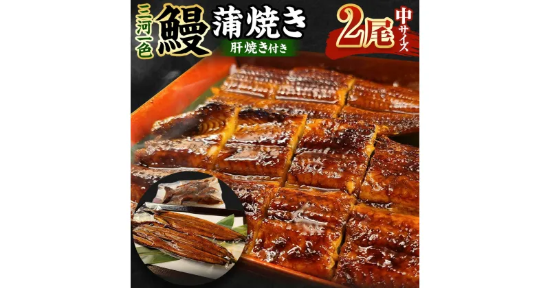 【ふるさと納税】(中)5P 三河一色 鰻 蒲焼き 2尾 (肝焼き付き) うなぎ かば焼き 肝焼き タレ付き セット お魚 湯煎 レンジ 惣菜 簡単調理 冷凍 幸田町 送料無料