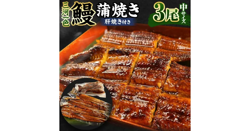 【ふるさと納税】(中)5P 三河一色 鰻 蒲焼き 3尾 (肝焼き付き) うなぎ かば焼き 肝焼き タレ付き セット お魚 湯煎 レンジ 惣菜 簡単調理 冷凍 幸田町 送料無料