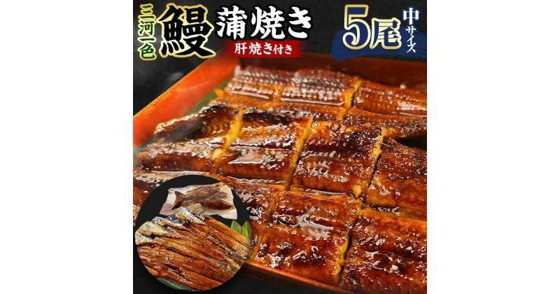 【ふるさと納税】(中)5P 三河一色 鰻 蒲焼き 5尾 (肝焼き付き) うなぎ かば焼き 肝焼き タレ付き セット お魚 湯煎 レンジ 惣菜 簡単調理 冷凍 幸田町 送料無料