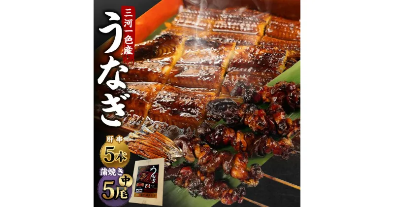 【ふるさと納税】 三河一色産うなぎ 中サイズ 蒲焼き 5尾 + 肝串 5本 蒲焼タレ 肝串焼き 鰻 お魚 湯煎 惣菜 セット 簡単調理 冷凍 幸田町 送料無料