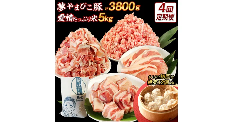 【ふるさと納税】【4回定期便】「夢やまびこ豚 モリモリ満足セット3.8kg」×「愛情たっぷり米5kg」(初回は「焼売」付き!!） 豚肉 肉 お肉 小間切れ こま切れ ミンチ 豚ミンチ ロースカツ 豚バラ 米 お米 白米 精米 ご飯 ごはん 焼売 しゅうまい 惣菜 おかず 送料無料