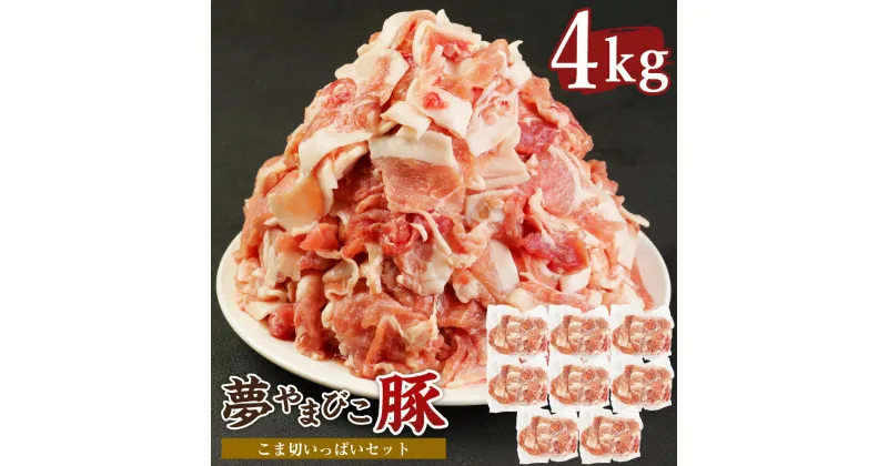 【ふるさと納税】夢やまびこ豚 こま切いっぱいセット 4kg 豚肉 肉 お肉 小間切れ こま切れ 小分け 真空パック 冷蔵 送料無料