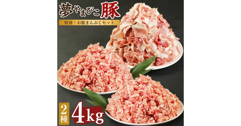 【ふるさと納税】夢やまびこ豚 特別！お腹まんぷくセット 4kg 豚肉 肉 お肉 小間切れ こま切れ 挽き肉 挽肉 ミンチ 豚ミンチ 小分け 真空パック 冷蔵 送料無料