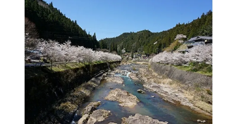 【ふるさと納税】大入川漁協〈アマゴ釣年券〉