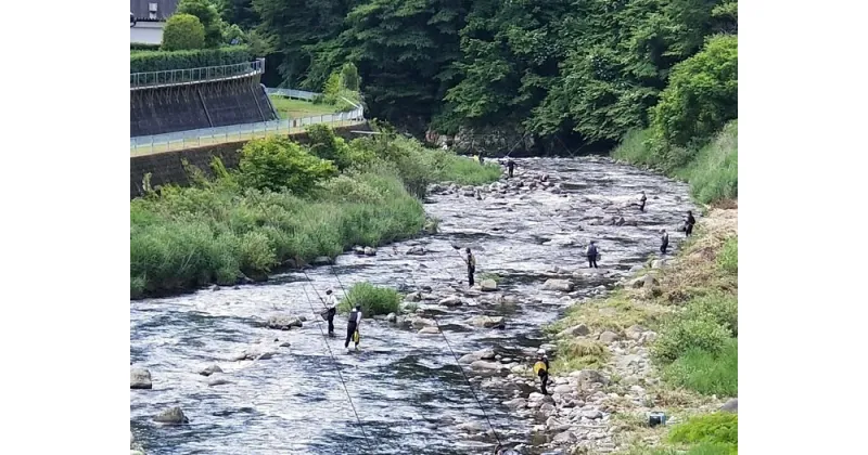 【ふるさと納税】大入川漁協〈あゆ釣年券〉