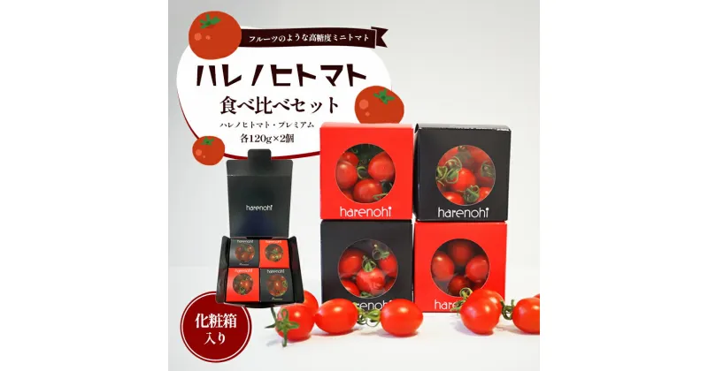 【ふるさと納税】ハレノヒトマト食べ比べセット [ ハレノヒトマト(糖度10度)120g プレミアム(糖度11度以上)120g 各2個 ミニトマト とまと 野菜 フルーツトマト 化粧箱 ]　野菜・ミニトマト