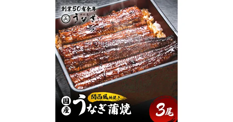 【ふるさと納税】うなぎ 国産 手焼き蒲焼3尾セット[うなぎ蒲焼き 炭火焼 たれ 鰻 蒲焼 鰻蒲焼 ウナギ ギフト 贈り物 うな丼 鰻丼グルメ ご褒美 簡単調理 冷凍 真空 丑の日]　 津市