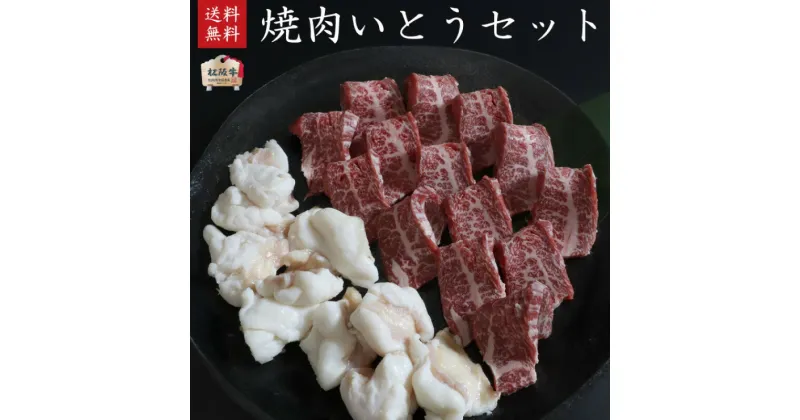 【ふるさと納税】松阪牛 焼肉いとうセット2人前400g【 A5等級 松阪牛カルビ200g・松阪牛ホルモン200g 】[ 松阪牛 カルビ ホルモン 焼肉 甘い 濃厚 牛肉 高級 和牛 BBQ バーベキュー 牛 肉 ブランド牛 黒毛和牛 松坂 グルメ ]