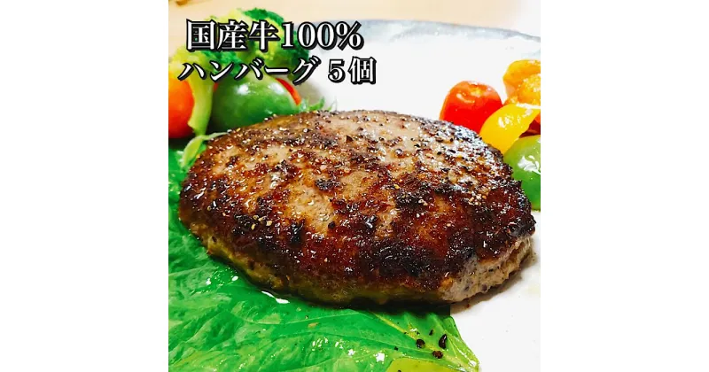 【ふるさと納税】伊勢水沢牛ハンバーグ5個セット