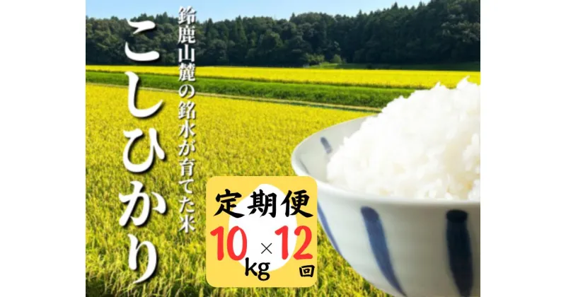 【ふるさと納税】＜定期便＞鈴鹿山麓の銘水が育てた米、米どころ三重県産小山田地区「こしひかり」10kg【12ヶ月】