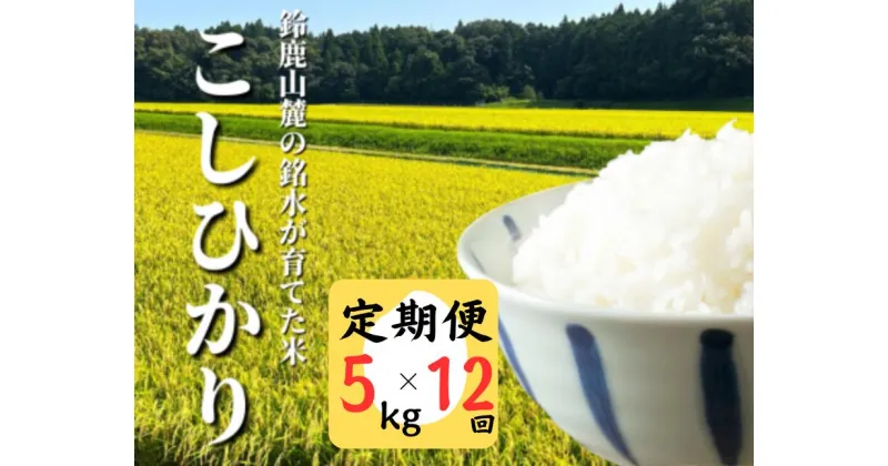 【ふるさと納税】＜定期便＞鈴鹿山麓の銘水が育てた米、米どころ三重県産小山田地区「こしひかり」5kg【12ヶ月】