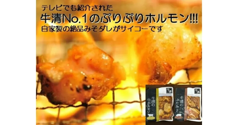 【ふるさと納税】1504　自家製 みそダレ Aセット 牛 ホルモン 200g×1 豚肉×1/ 黒毛和牛ホルモン 牛清 バーベキュー BBQ キャンプ 牛肉 ぶた肉 特製 味噌漬 味付 大人気 伊勢志摩 三重県 伊勢市