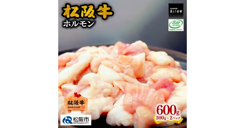 【ふるさと納税】松阪牛ホルモン600g(300g×2P) 松阪牛 松坂牛 牛肉 ブランド牛 高級 和牛 日本三大和牛 国産 ホルモンミックス ミックスホルモン もつ鍋 モツ鍋 ホルモン鍋 もつ煮 モツ煮 焼肉 焼き肉 バーベキュー 冷凍 小分け