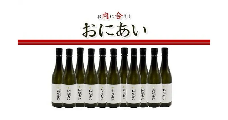 【ふるさと納税】純米吟醸酒 おにあい 11本 日本酒 冷酒 地酒 720ml 肉料理 中山酒造