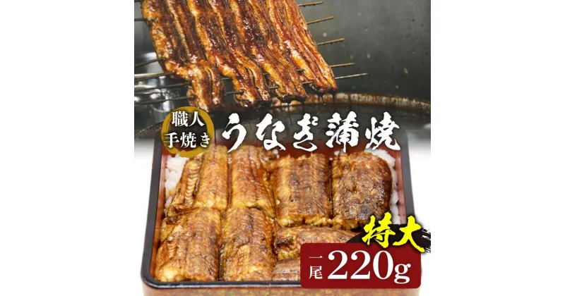 【ふるさと納税】職人手焼きの特大鰻蒲焼 1尾 220g 国産 うなぎ ウナギ 蒲焼 特大