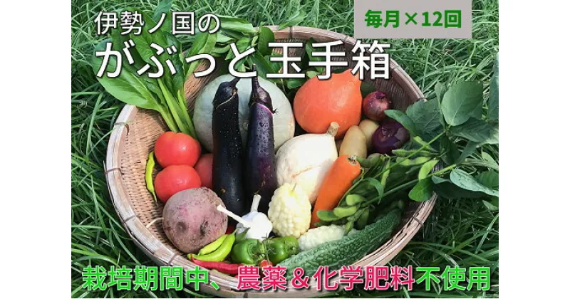 【ふるさと納税】伊勢ノ国のがぶっと野菜玉手箱　：　月1回定期便（大人4人1週間分）12回