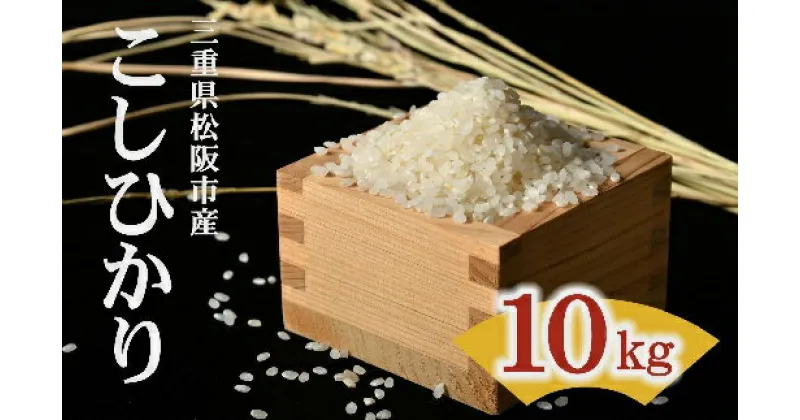 【ふるさと納税】令和6年産 松阪産コシヒカリ 10kg（5kg×2）【期間限定】米 白米 精米 こしひかり 三重県産 松阪産 令和六年産