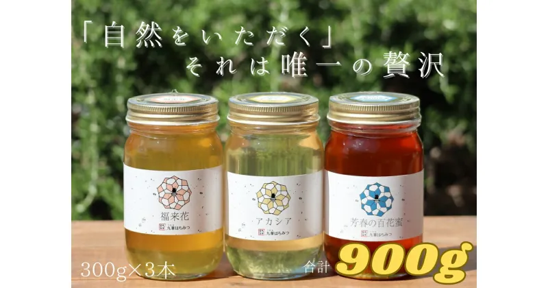 【ふるさと納税】 舘養蜂場本店　九華はちみつ　300g×3本