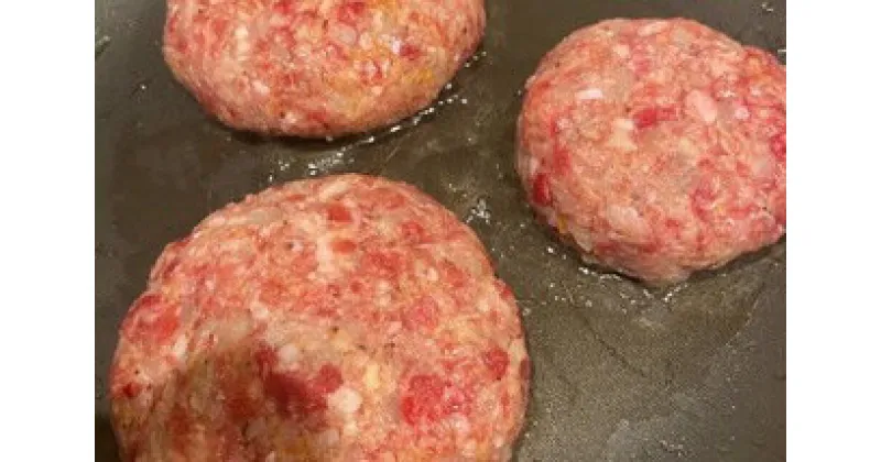 【ふるさと納税】 かねき商店　肉屋さんの手づくり和牛ハンバーグ