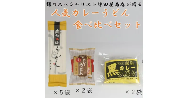 【ふるさと納税】 陣田屋商店　カレーうどん（生麺）黒カレーうどん（半生麺）うどん（乾麺）の3種類セット