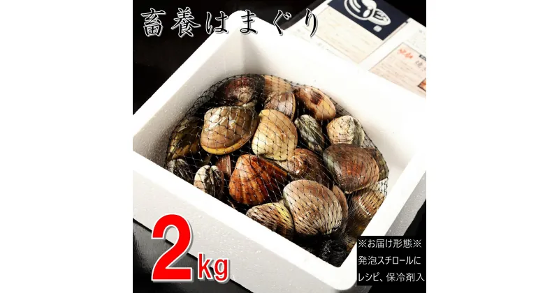 【ふるさと納税】 桑名はまぐり屋　蓄養はまぐり　3年～6年もの　2kg_蛤　ハマグリ　魚介　貝