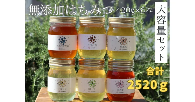 【ふるさと納税】 舘養蜂場本店　九華はちみつ大容量セット420g×6本