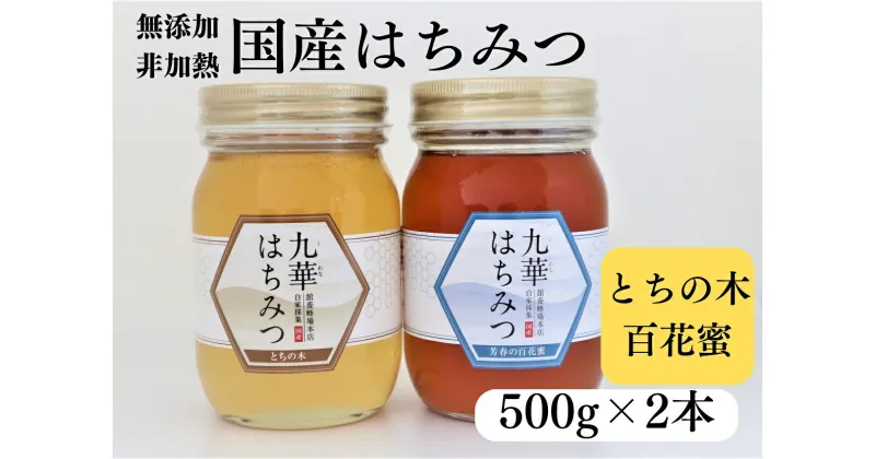 【ふるさと納税】 舘養蜂場本店　国産はちみつ500g×2本セット(ad10)