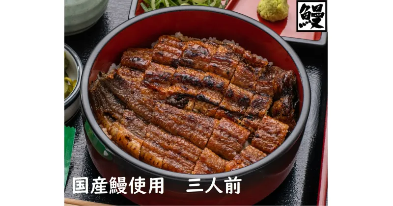 【ふるさと納税】おうちでひつまぶし　3人前／炭火焼きうなぎ