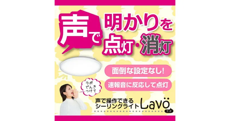 【ふるさと納税】【瀧住電機工業株式会社】12畳用　音声操作リモコンシーリングライト　ROX12156