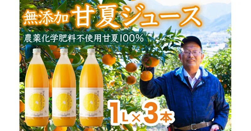 【ふるさと納税】 甘夏 （農薬化学肥料不使用）無添加100％ジュース1L×3本 尾鷲市 甘夏屋 平山農園 HI-7