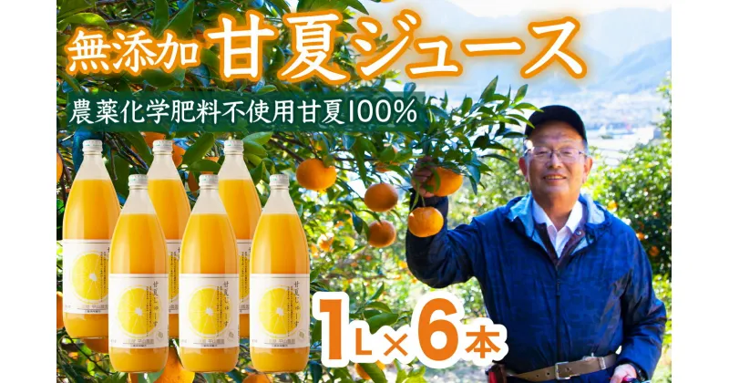 【ふるさと納税】 甘夏 （農薬化学肥料不使用）無添加100％ジュース1L×6本 尾鷲市 甘夏屋 平山農園 HI-4