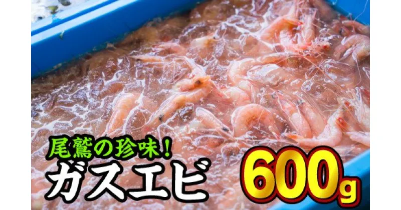 【ふるさと納税】珍味！ガスエビ（ヒゲナガエビ） 600gセット　HA-33