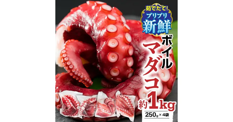 【ふるさと納税】 【冷蔵】ボイルマダコ 約1kg（250g × 4袋）セット（到着日時指定必須商品） 小分け 三重県尾鷲市 人気 大満足 返礼品 MT-8