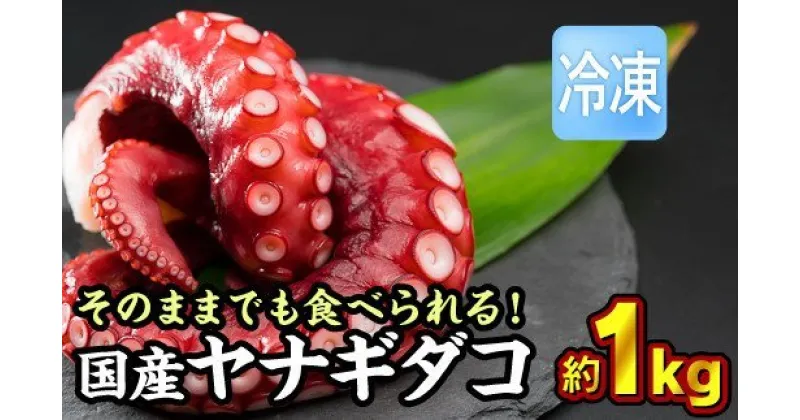 【ふるさと納税】 【冷凍】国産ヤナギダコ 約1kg（250g × 4袋）セット 小分け 三重県尾鷲市 人気 大満足 返礼品 MT-10