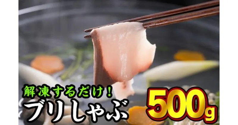 【ふるさと納税】 しゃぶしゃぶ用ブリ切り身　大満足500gセット（100g × 5パック）　OB-10