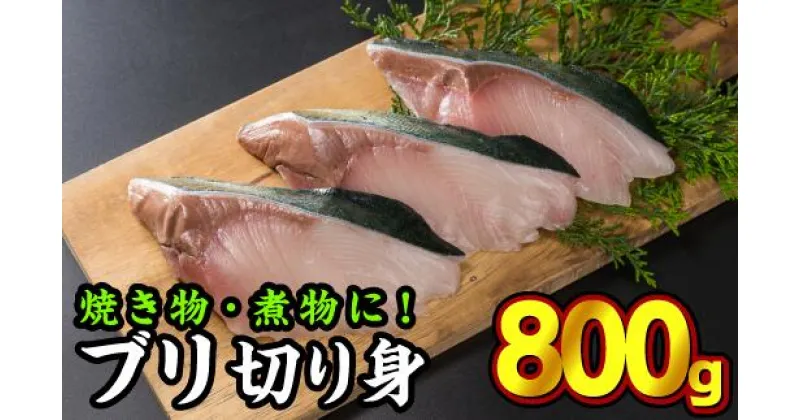 【ふるさと納税】加熱用ブリ切り身　大満足800gセット（100g × 8切れ）　OB-11