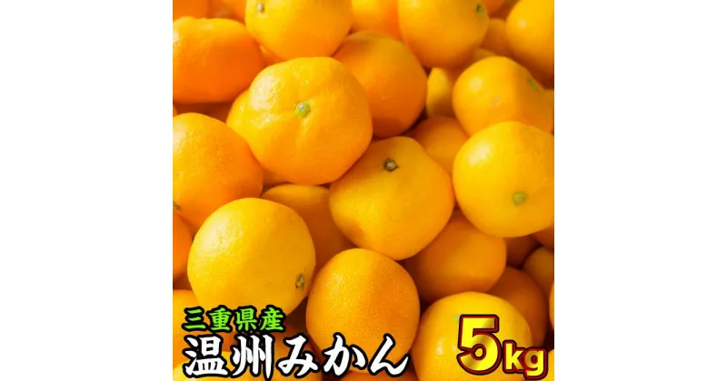 【ふるさと納税】 三重県産 温州みかん(家庭用)　5kg《12月末までの受付》II-46