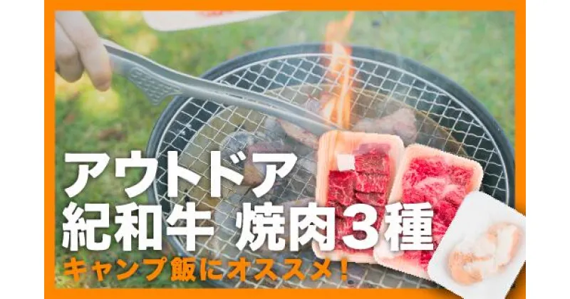 【ふるさと納税】 食べきりアウトドア紀和牛3種セット　600g　TM-30