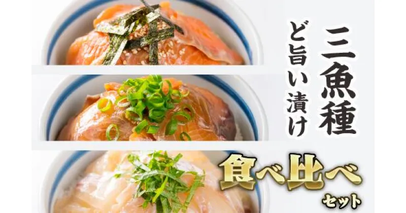 【ふるさと納税】3種の魚の漬け丼 食べ比べセット ＜お試し商品＞　KI-48