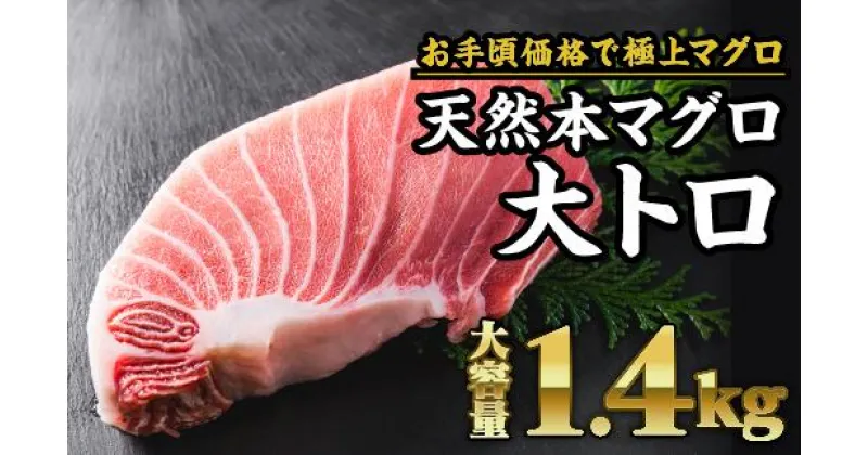 【ふるさと納税】天然本マグロ 大トロ 　大満足1.4kg　CH-71