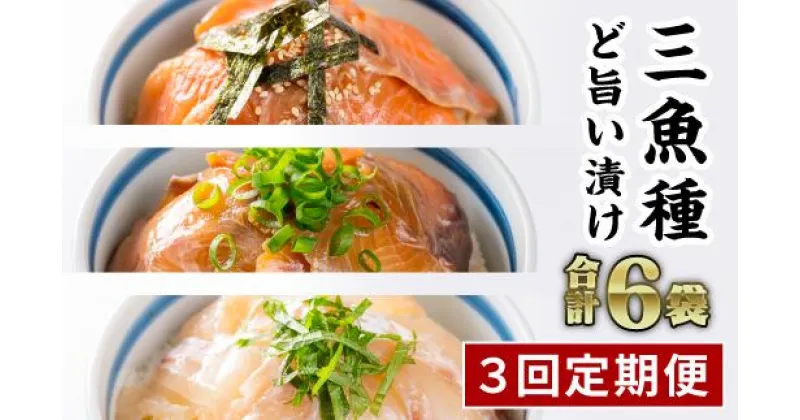 【ふるさと納税】【定期便3回】3種の魚の漬け丼 食べ比べセット（計6袋セット × 3回）　KI-47