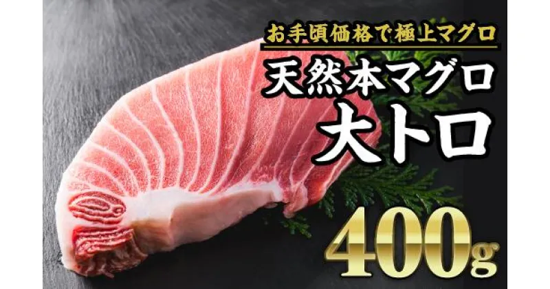 【ふるさと納税】天然本マグロ 大トロ 　大満足400g　CH-82