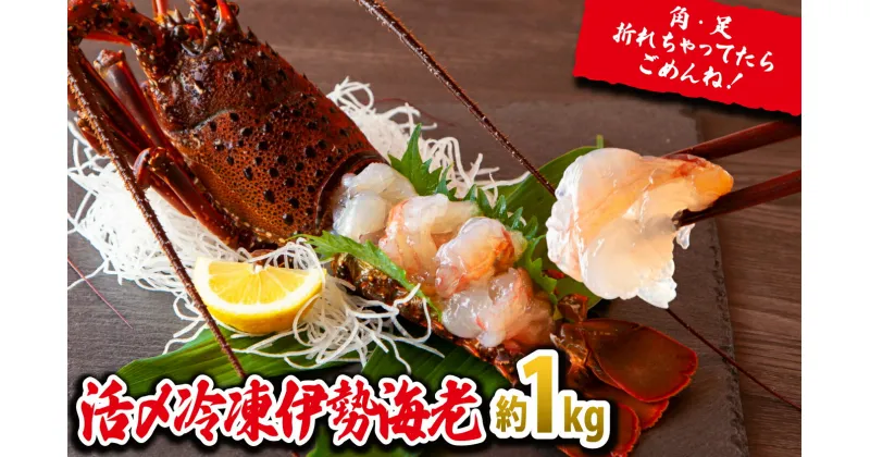 【ふるさと納税】刺身でもうまい！活〆冷凍伊勢海老 大満足の約1kg（2～5尾）MG-06