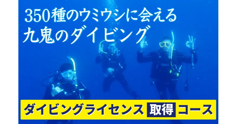 【ふるさと納税】350種の美しい ウミウシ が魅力 【 ダイビングライセンス 取得 コース】 オールシーズン 海 ツアー マリンスポーツ 三重県 尾鷲市 九鬼 　DI-7